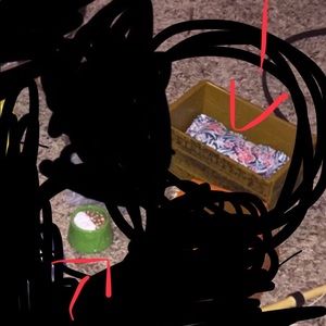 Naneas dogs bed and food bowl so its accessories